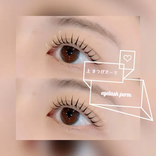 『上のみ』まつげパーマ𖠶ˬ𖠶🫧