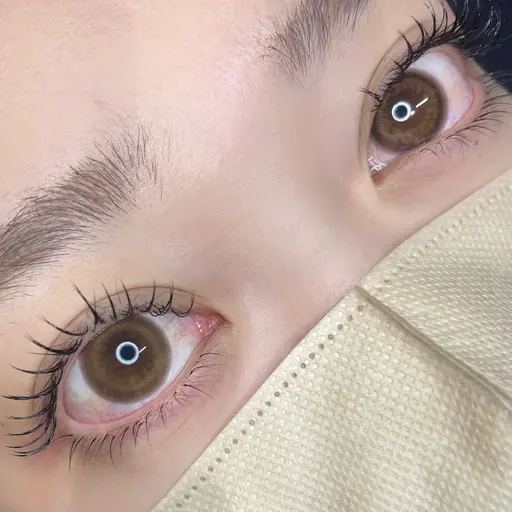 🪽LEDフラットラッシュ100本【お付け足し不可⚠️オフ有は別途¥550】