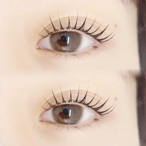 【ご新規様】🤍パリジェンヌorまつ毛パーマ🤍