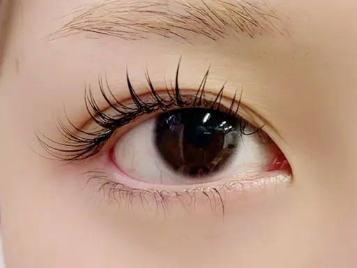 ❣️【人気No.1】高品質フラットラッシュ100本 オフあり🎶💫