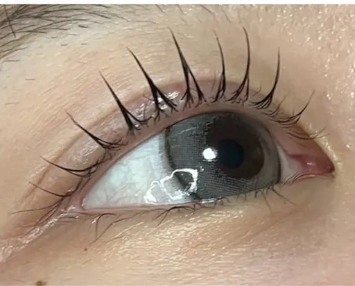 4D-flow【ダメージレスまつ毛パーマ】W還元/トリートメント付き¥6,600→¥5,500