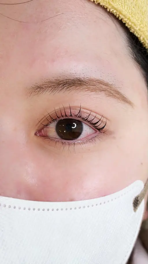 4月限定🌱🌸まつ毛パーマ練習モデル( ꇐ₃ꇐ )料金¥0✨当日予約OK