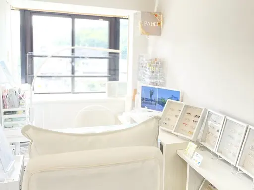 private nail salon papii