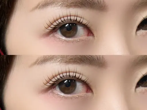 maison lily ~Nail & Eyelash~