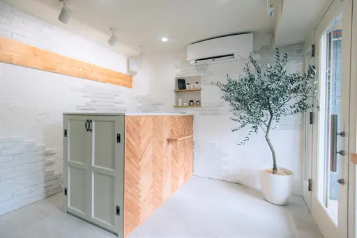 APiLA total design salon