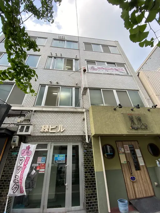 Pink Ganesh Eyelash (ピンク ガネーシャ アイラッシュ)