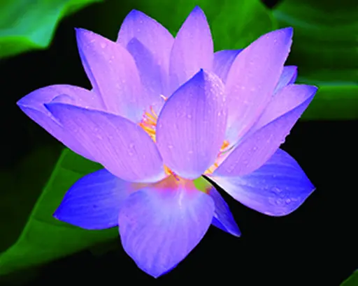 テストサロンbmd6sH