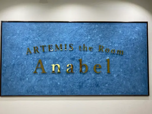 ARTEMIS the Room Anabel