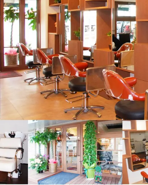 ブロッサム上板橋