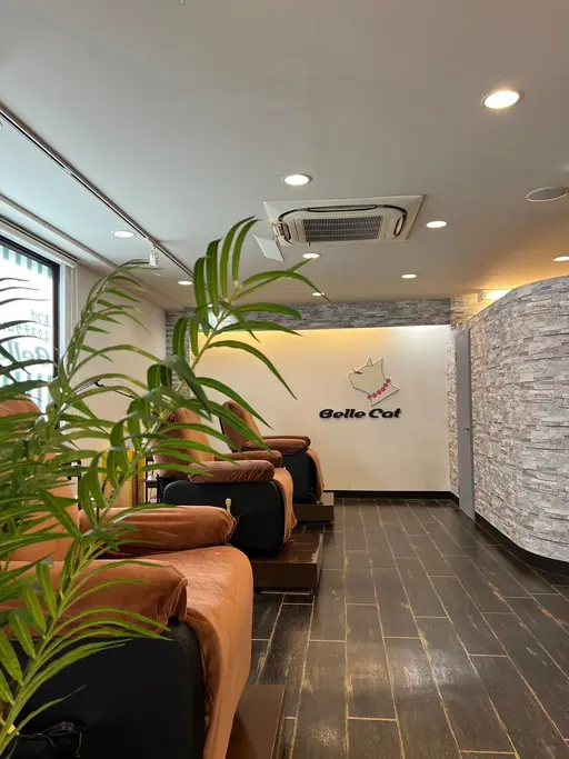 Belle Cat【ベルキャット】