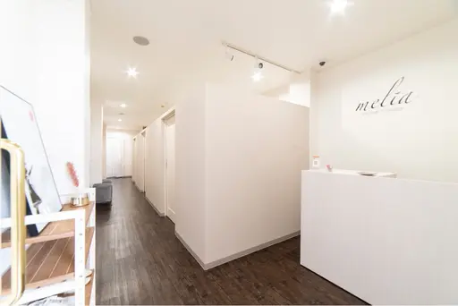 melia eyelash × beauty