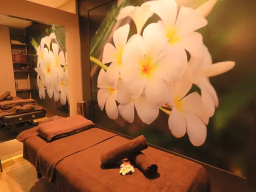 relaxation salon calm