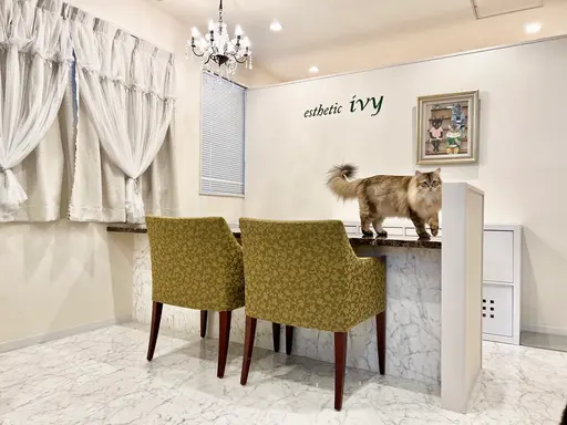 エステティックivy