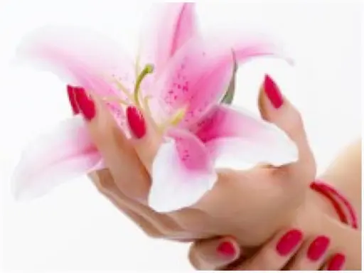 Art Salon  Fura Coco