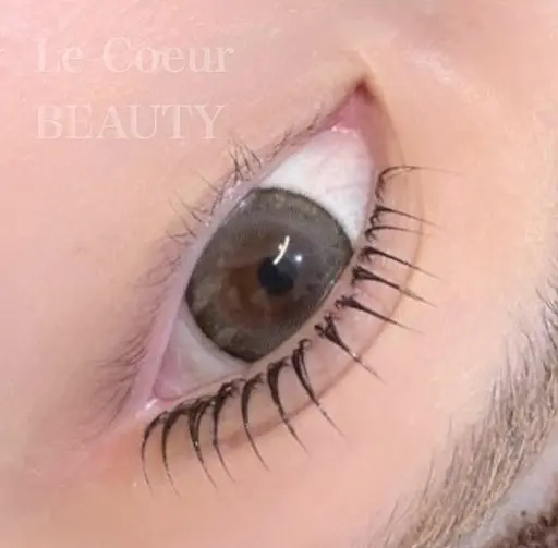 《平日限定》ラッシュリフト➕コーティング➕アイシャンプー付き🫧/再来¥5,500