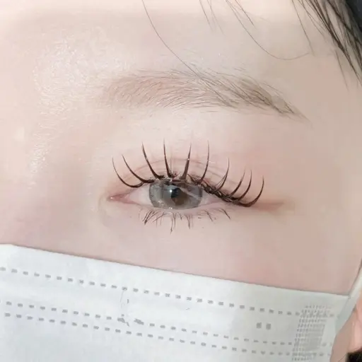 フラットラッシュ 120本