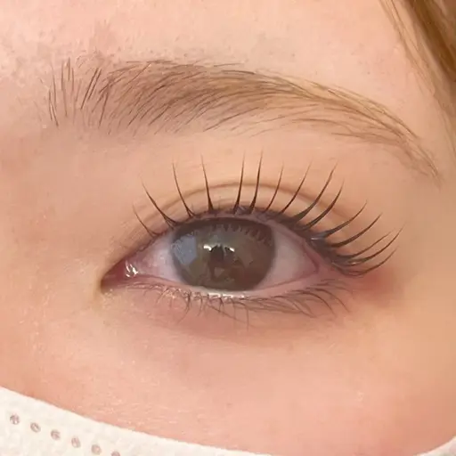 パリジェンヌorまつげパーマ 選べるまつげパーマ🐻‍❄️‎🤍