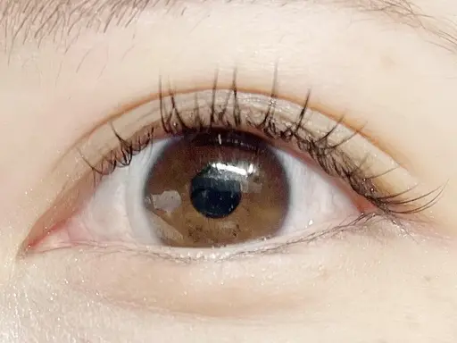 フラットラッシュ120本  オフ込み