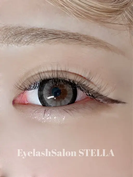 【モデル限定価格♪】ボリュームラッシュ60束💚