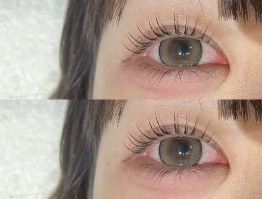 本日限定✨パリジェンヌorまつ毛パーマ＋選べるオプション付き🎶