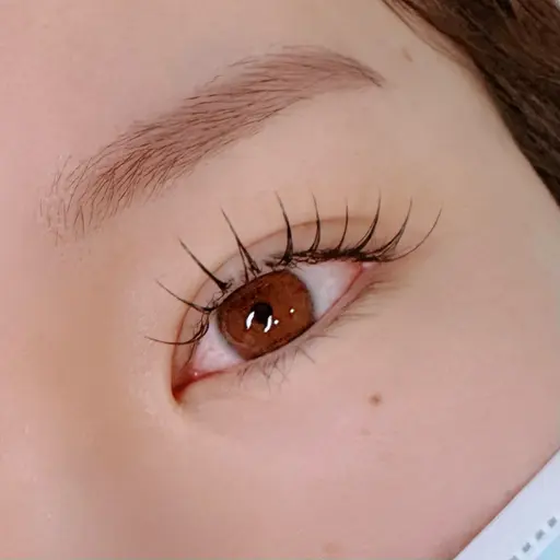 【3/13限定！まつげエクステモデル募集☆必ず内容をご確認ください】