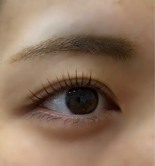 🌼*・まつげパーマモデル募集🌼*・+毛先トリートメント付き❣️根元からしっかり巻き上げ!