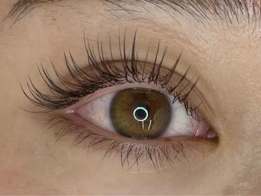 フラットラッシュつけ放題