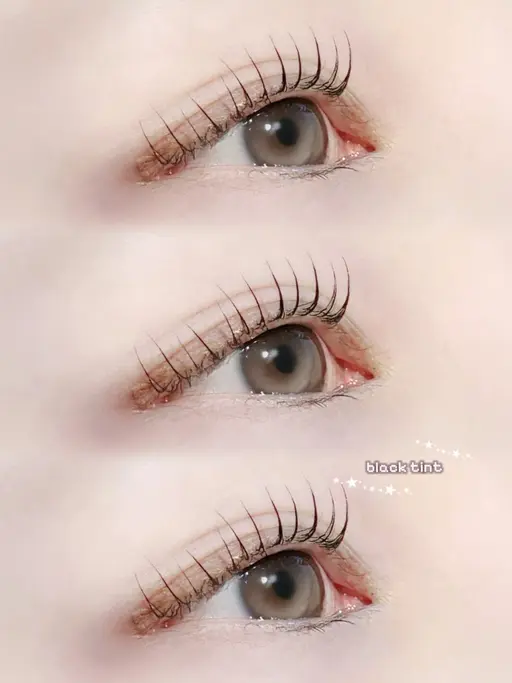 【必見】まつパ＋『マスカラ ティント🐨』￥3800