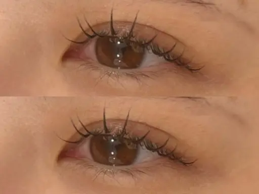 🎀当日予約限定🎀ラッシュリフト🩶