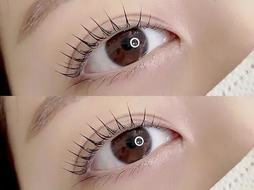 パリジェンヌorまつ毛パーマ 練習モデル募集中 平日限定