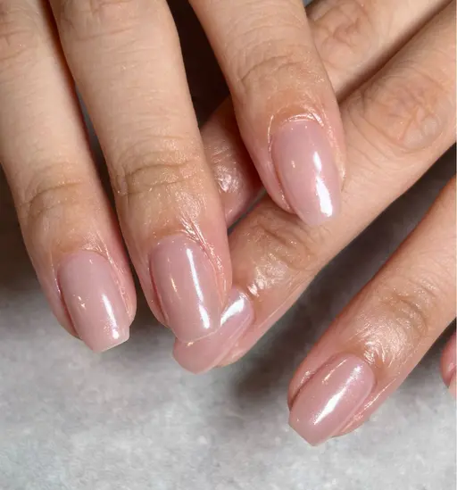 【オフなし】ワンカラー🐶