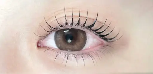 ❣️【束感◎人気No1★】韓国アイドル風まつげパーマ5980