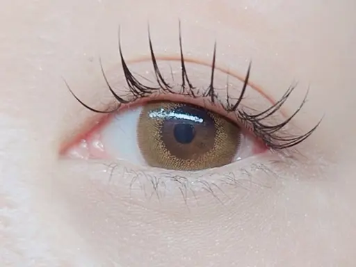 (オフ無料)フラットラッシュ100本＋コーティング付