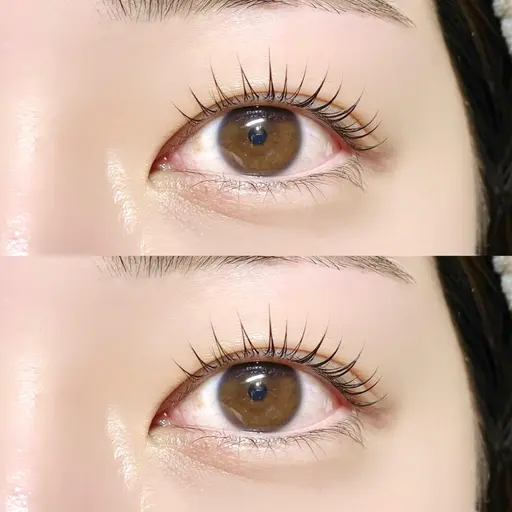 19日限定🉐《パリジェンヌラッシュリフト＋アイシャンプー付き🧴》