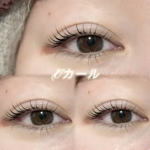 3月31日限定【次世代まつ毛パーマ】(コーティング剤付)