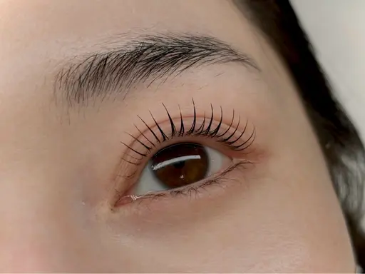 上まつ毛パーマ（ケラチントリートメント付き）🌙L3リフト🌙