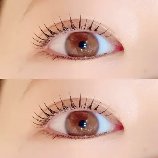 🌟パリジェンヌラッシュリフト コーティング付き🪄︎︎ 追加料金なし⚠️必ず説明をご確認下さい。