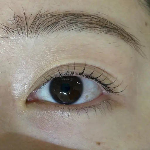 💫オフなし無料まつ毛カールモデル💫⚠️2時間メニュー