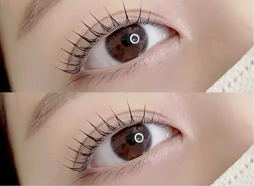 大人気⭐️パリジェンヌラッシュ🩶🩷🩶