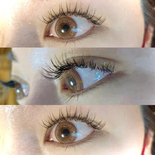 【minimo限定価格🌟】🌵シングルエクステ1時間付け放題🌵