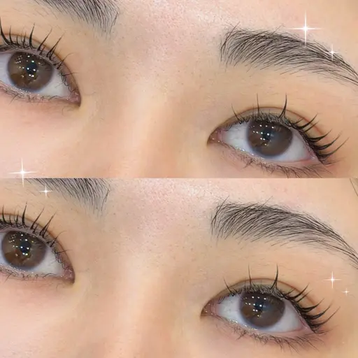 【12月限定！】パリジェンヌ☘/🫧トリートメントorコーティング仕上げ🫧【阿佐ヶ谷・荻窪・高円寺】