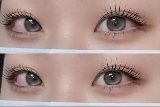 【🫧平日限定🫧】韓国束感ラッシュリフト/まつげパーマ🖤🪽〈コーティング付き〉#平塚駅