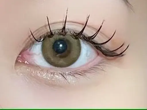 【フラットラッシュ🕊️】マツエク100本（プレミアムカシミヤ）➕高級コーディング🎀✨️