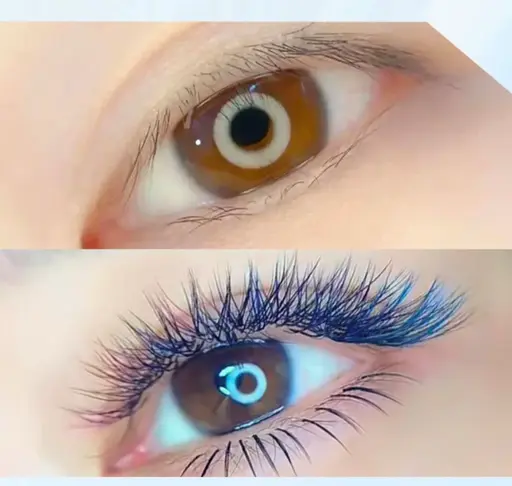 【ワンホンカラー】3D Wラッシュ、ブルー🩵、パープル🪻、ブラワン🐻120束¥7200/140束¥8300