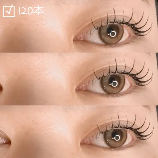 オフなし🌷フラットラッシュ120本🌷 1番人気の本数🥇
