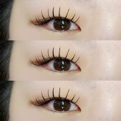 フラットラッシュ120本 ¥5500