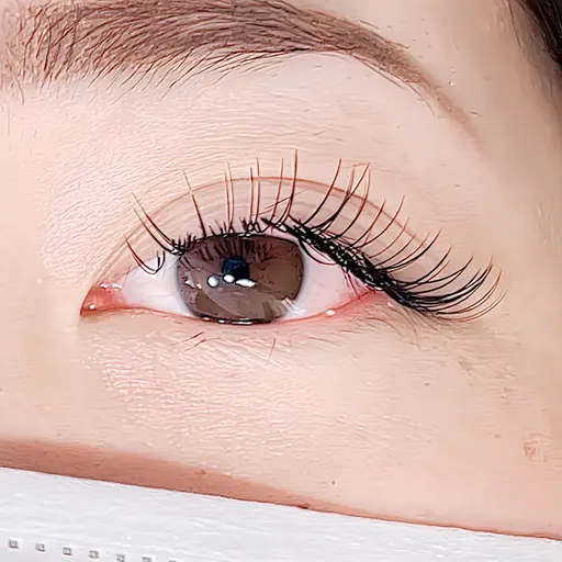 【当日限定】高持続×負担減✨️Flat lash 120本 ¥8000→¥3980