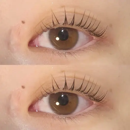 3/9(11:30/13:00/15:30 ご来店)無料モデル:上まつ毛パーマ