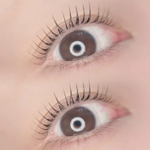 🔰3/12.13限定🔰【パリジェンヌラッシュリフト】