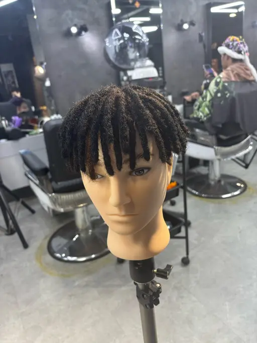 ドレッド ドレッドロックス